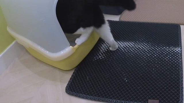 Лапочист - Двухслойный коврик для кошачьего туалета / лотка смотреть онлайн