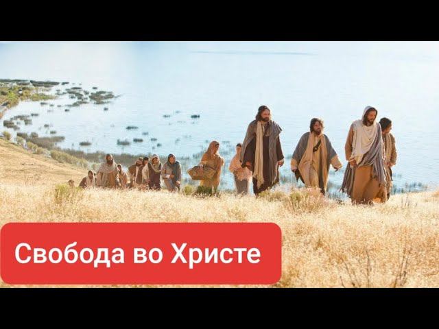 Величие маленьких призваний или вино из Каны Галилейской./Олег Мамонтов
