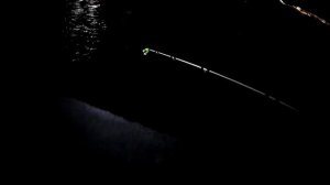 Ночная рыбалка на мармира в Черном море