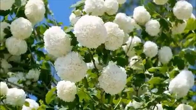 Пустили сестру с детьми пожить в квартире: ремонт испорчен, за коммуналку долги! Истории из жизни. смотреть онлайн