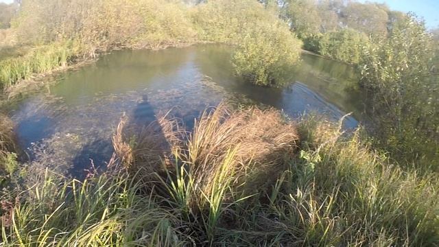 Охота со Старым смотреть онлайн