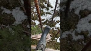 Охота на медведя в Архангельской области
