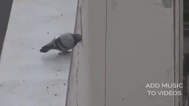 когда поставили много 2-ек в четверти смотреть онлайн