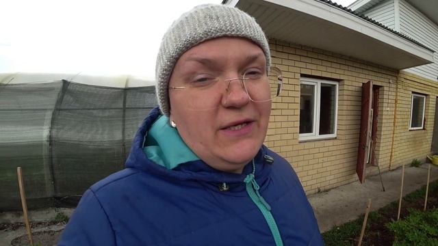 Подкормка для быстрого роста голубики
