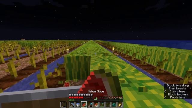 Can you farm 1,000,000 Melons in 100 Minecraft Days? смотреть онлайн