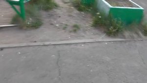 Трезвые Дворы. Братск. выпуск № 46