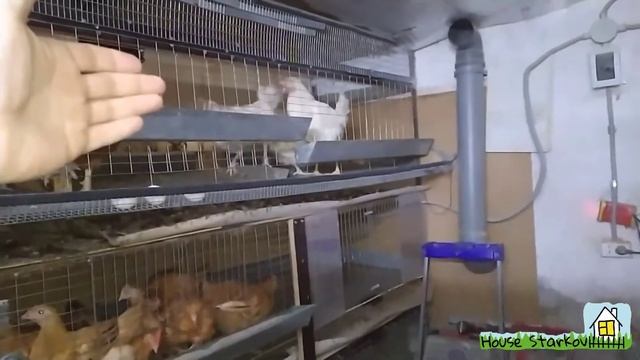 Бетонный пол с уклоном в курятнике смотреть онлайн