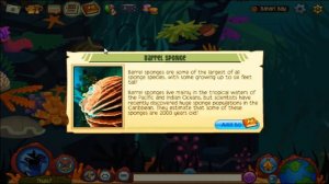 Animal Jam - Series 1 - Journey Book Quest Episode 9 - Bahari Bay