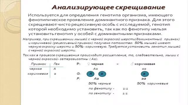 Анализирующее скрещивание