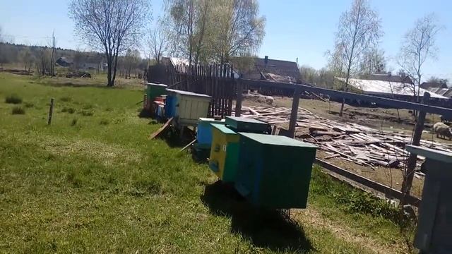 Контрольные весы на пасеке/первый отводок в 2021/10 мая наконец тепло настало пчелы полетели смотреть онлайн