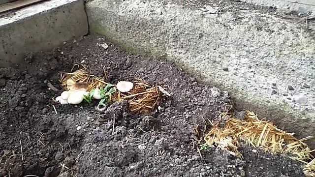 Вторая жизнь блоков. Не выбрасывайте отработанные и поврежденные блоки.