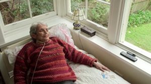 Заболевания органов дыхания. Причины, симптомы, профилактика