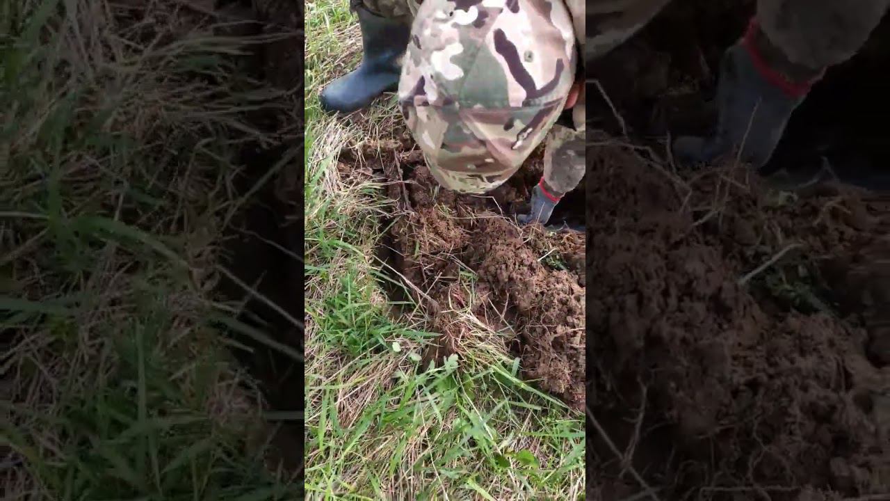 #металокоп Когда находка радует! смотреть онлайн