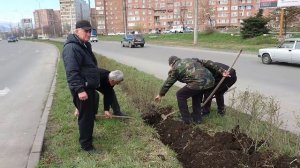 Таймураз Дзантиев выкорчевывает кустарник