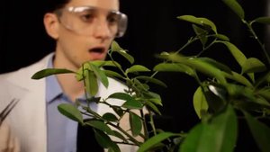 ASMR SPACE 2 серия – Уход за растениями на Марсе [шепот, перчатки, фонарик] АСМР сериал. #84