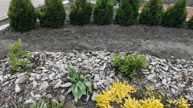 ОБЗОР САДА ! ХОЛОДНЫЙ МАЙ 2022 !!! смотреть онлайн