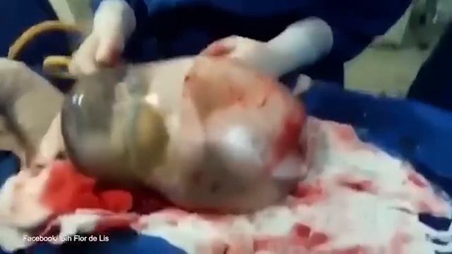 В рубашке родился