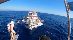 Парусная регата глазами новичка (яхтинг, парусный спорт)