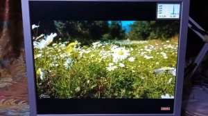 Монитор LG Flatron L1919S