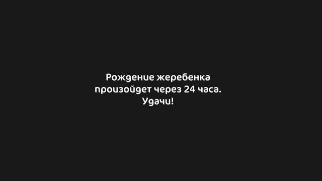 Разведение в Star Stable Online ??
