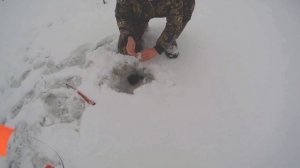 РЫБАЛКА НА ЩУКУ ЗИМНИМИ ЖЕРЛИЦАМИ!!! Зимние жерлицы на щуку