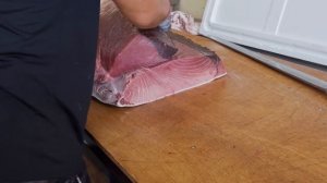 Amazing skill！500 Pound Giant bluefin tuna cutting Master, Luxurious sashimi/驚人的技巧！巨大黑鮪魚切割大師, 鮪魚金三角