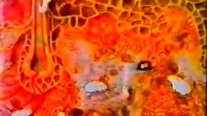 Мультик про лимфоциты и как человек может им помогать