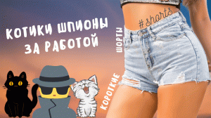 Котики-шпионы за работой..) #shorts