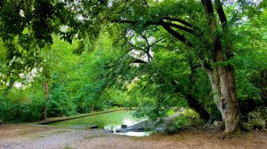 МАКСИМОВА ДАЧА-МЕСТО ,в котором ВРЕМЯ ОСТАНОВИЛОСЬ! РАЙСКИЙ САД в СЕВАСТОПОЛЕ ! Севастополь 2022