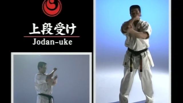 Shinkyokushinkai Kyosoku. Часть 1.