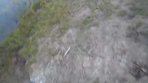 ЛОВЛЯ КАРАСЯ НА МОРДУШКУ 2017