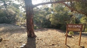 Pouzaris Nature Trail Troodos Pano Platres Limassol Cyprus