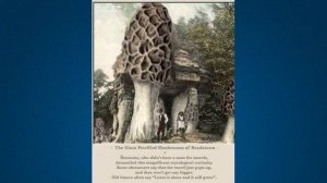 Буддизм, Индуизм, Кришнаизм. Вячеслав Котляров.