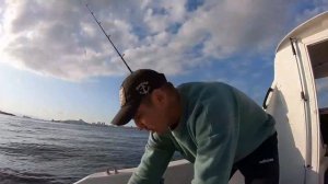 Как ловить скумбрию? Первый опыт в ловле скумбрии и анчоуса!