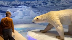 В поисках саблезубого тигра)