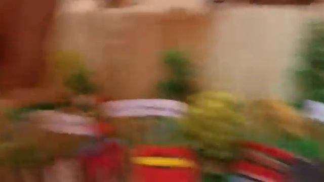 ZOO MODEL FOR School PROJECT смотреть онлайн