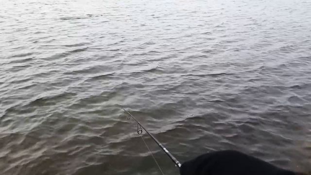 Окунь на Ультралайт до 2,5 грамм. Разыгрываю КАМЕРУ! смотреть онлайн