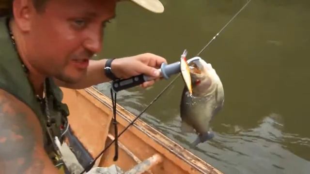 Классненькая Рыбалка на Пиранью! смотреть онлайн