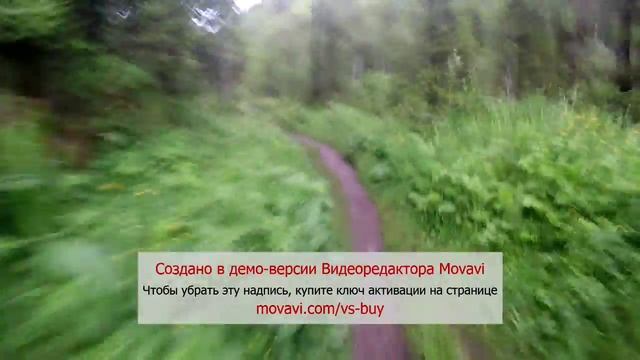 Вело обзор Белокуриха. Старая мельница - ручей Шиши. смотреть онлайн