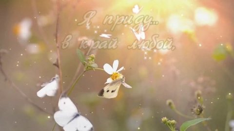 Наполним музыкой сердца ? #пожелания #музыкальнаяоткрытка #любовь #стихидлядуши #стихи #открытка