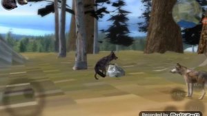 Новыи волк в нашей стае в Ultimate wolf simulator 2 - _MILKA_