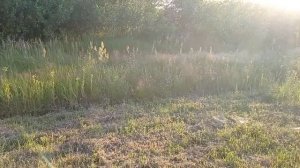 Лучший диск для покоса травы. Доработка ножа для тример. Доработка диска для мотокосы