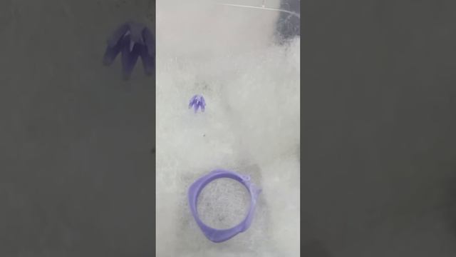 Поступление наших новых 3D моделей по вашим заказам #jewelry #золото #diamond #ring #золотоекольцо смотреть онлайн