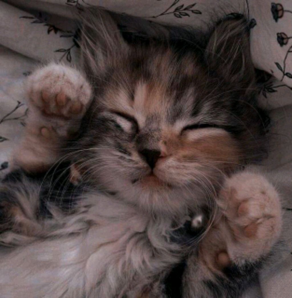 хз что писать