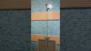 Царевы бани г. Пенза номер "Русский".