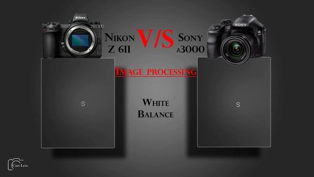 Nikon Z 6II vs Sony α3000 смотреть онлайн