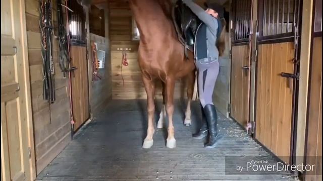 Новичок vs Профи конник смотреть онлайн