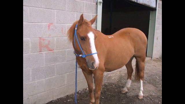 JAFFA 11♥ SUMMER HOLIDAYS 2 (: смотреть онлайн