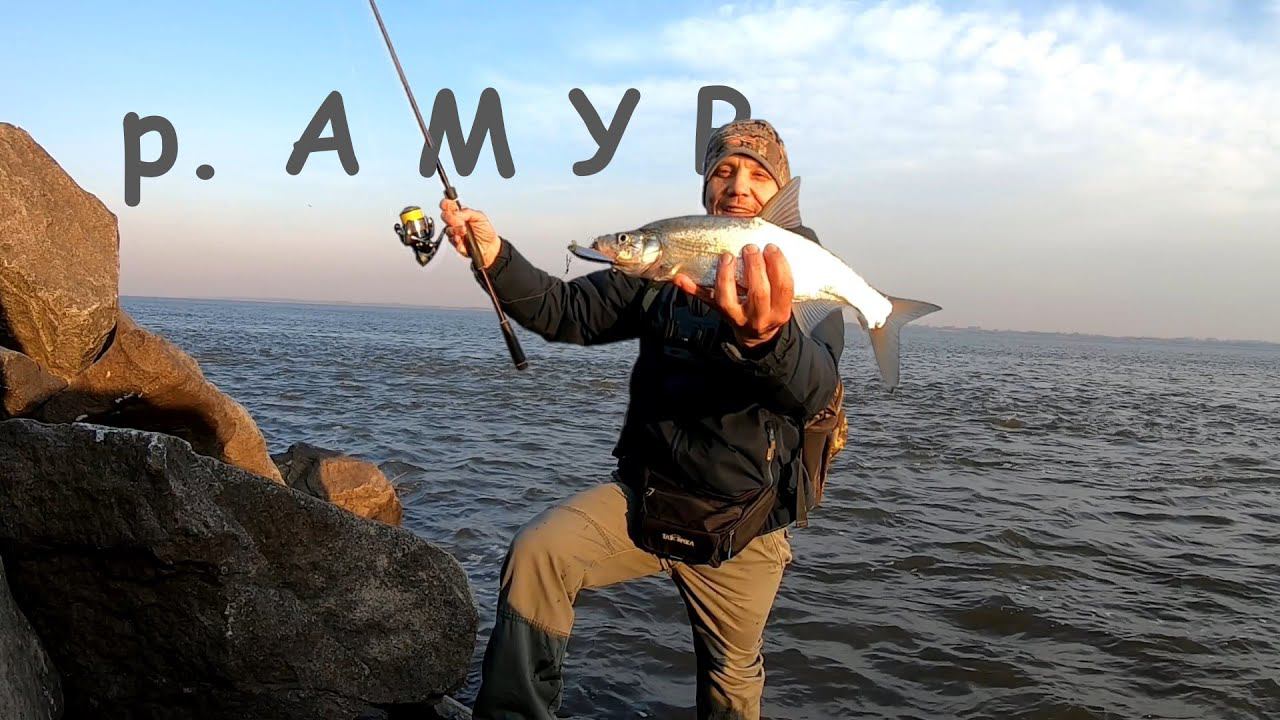 Открыл сезон спиннинга на Амуре. Уловистый воблер смотреть онлайн