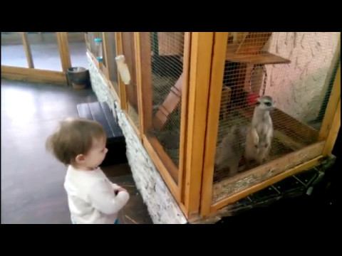 Майя в контактном зоопарке 14